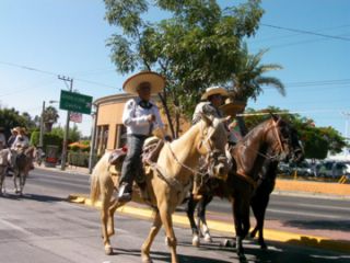 さすがにアスファルトは歩き辛そうなお馬さん