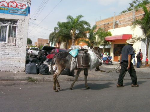 まだがんばってますよぉ〜