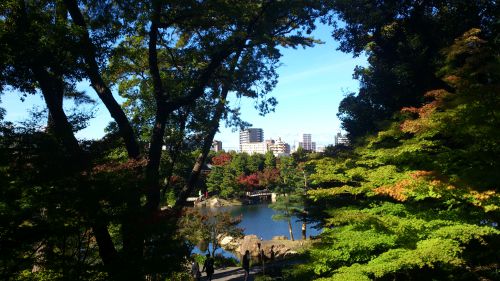 徳川園　庭園
