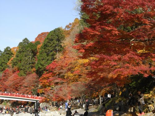 香嵐渓広場から巴川川岸からの紅葉