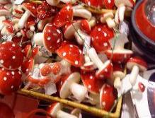 店頭に並ぶクリスマスキノコ！？