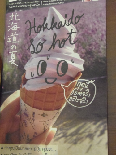 北海道特集のフリーペーパー（２０１２年夏のもの）