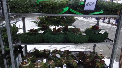 生リースの販売