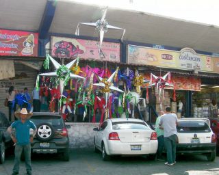 おっちゃんと比べてみても、デカい！