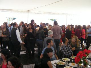 踊っているのです。ラッシュ時の電車みたい。