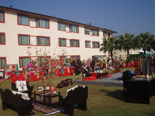 快晴のお天気。南国ムードの椰子の木が。 生産者やクラフトマンと出会って直接お話できる楽しみがあります。