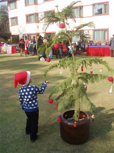 ツリーのオーナメントには民族衣装のネパリ人形も。