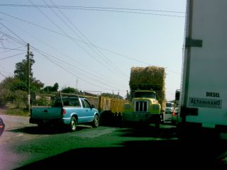 こんな狭い橋の上なのに。。。落ちないかしら