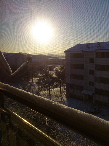 朝起きると一面真っ白、ベランダの手すりにも雪が積もっていました