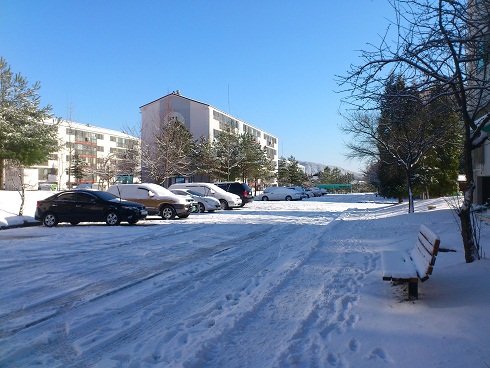 こんな状態でもタイヤ交換していない車がほとんどです
