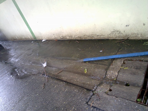 庭から外へ繋がっています