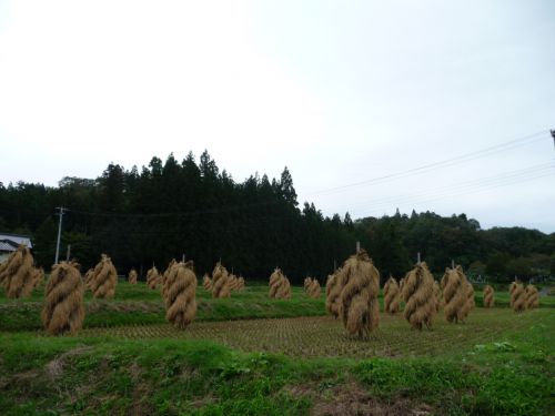 クルリンパーマのソフトクリーム型