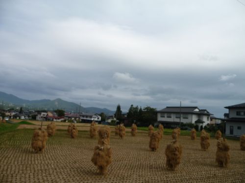 ずら〜っと、まるで、から傘お化けみたい。