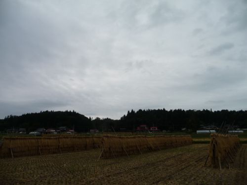 ハセがけスタイル　