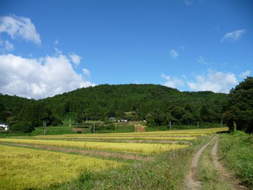 すがすがしい朝。通勤風景（福島県二本松市）
