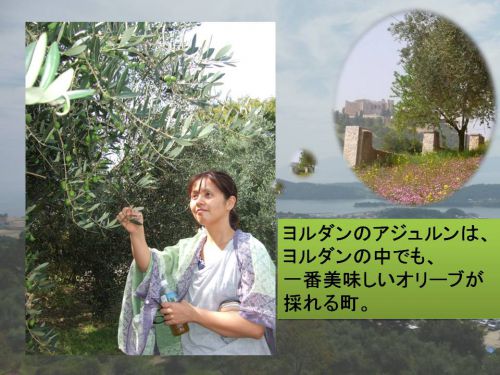 ヨルダンを思い出す　例のアレ