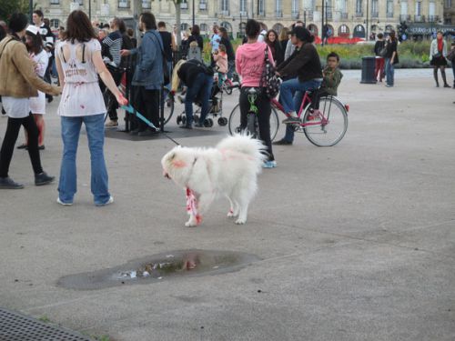 わんちゃんまでもゾンビ化