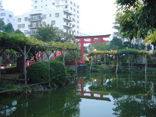 水面に景色がうつってきれいです。