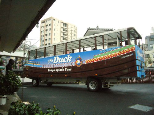 大きい、そして背が高い！