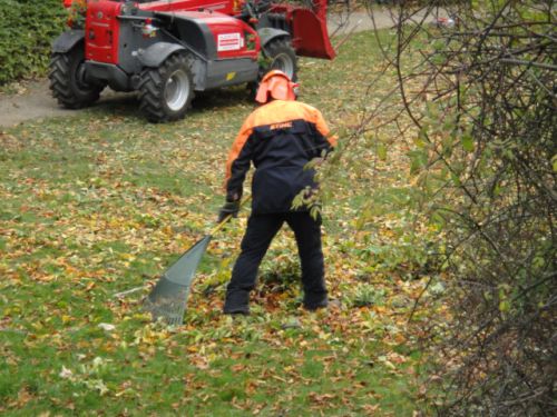熊の手で枯葉を集める人