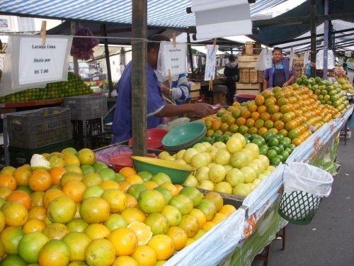 フェイラ（朝市）で並ぶ様々な種類のオレンジ