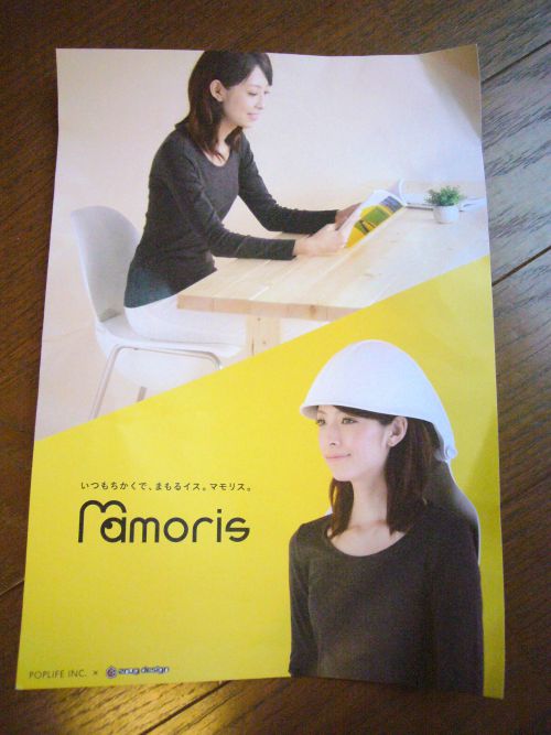 展示会でいただいたチラシ。