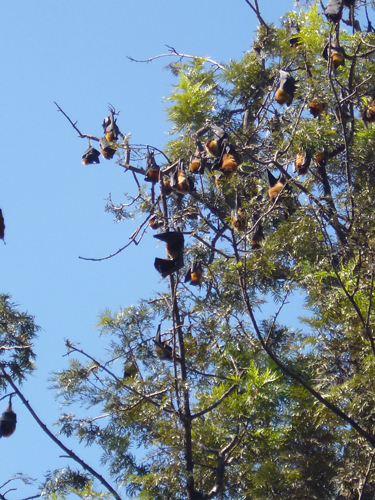 私もカメラを空に向けてシャッターをパシャパシャ！