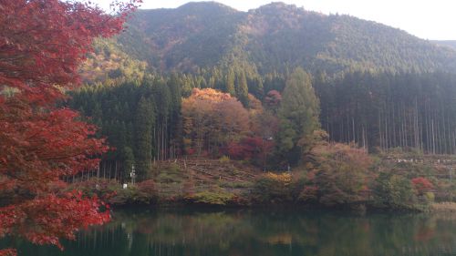 ダムに映る紅葉