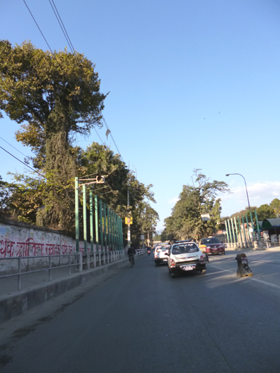 現場はこの大通りです。