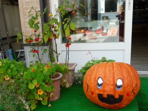 一つひとつのお店に、違った顔のかぼちゃが待っているのです。