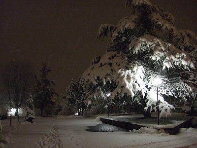まだ夜も明けない朝の６時半。静かに雪が降り続けています。