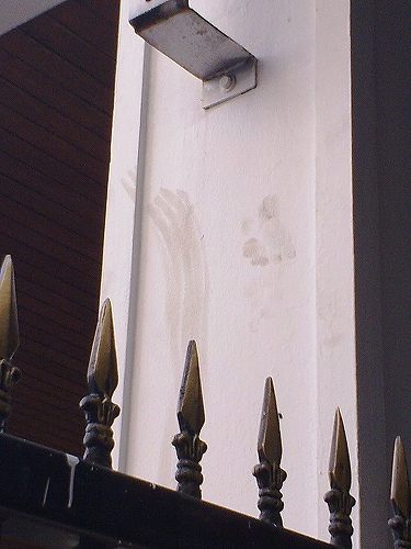 降りる際についたと思われる生々しい手の跡