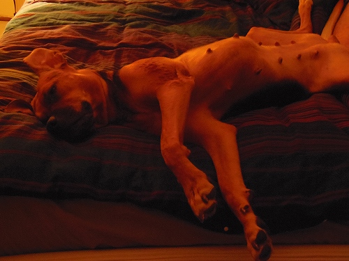 「誰かいる。。。」