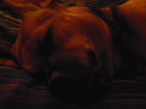 「そこに誰かいる。。。」