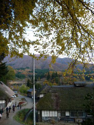 紅葉がとっても映える