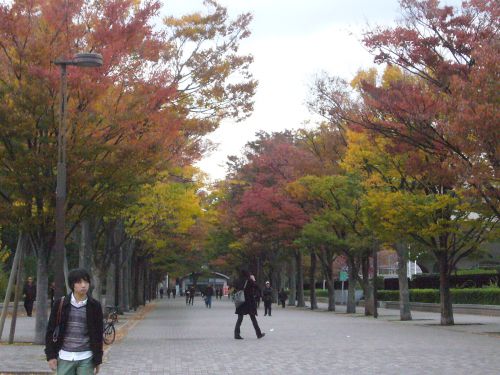 １１月中旬。色づき始めの渋谷の公園。