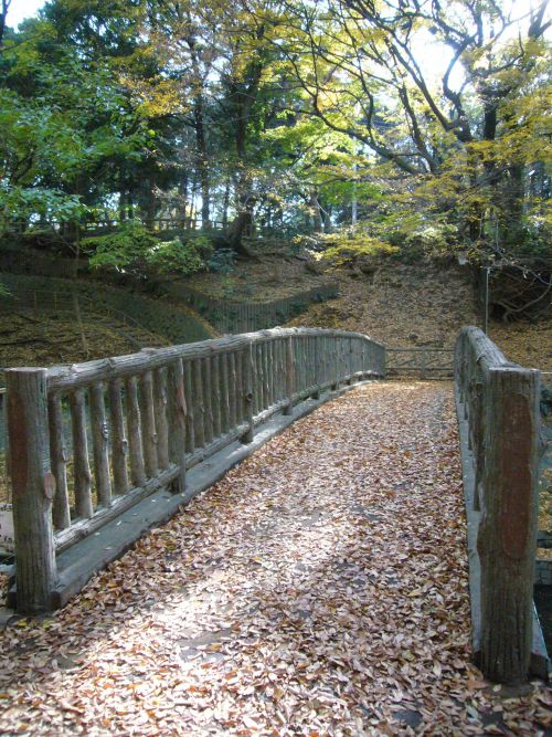 落ち葉に埋め尽くされた橋。