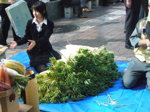 大根が山積みです。