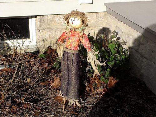 サンクスギビングの飾りつけ用のかかしさん