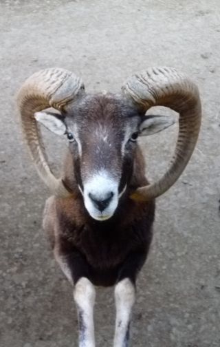 カーブの角がおしゃれです