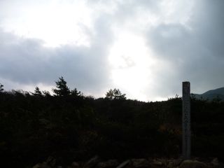 ちょっと曇っていたけれど、楽しかった！ありがとうございました。