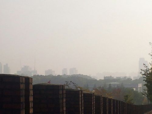 朝も昼も夜も、街は曇ったガラス越しかのように見えます