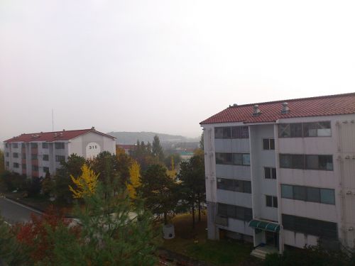 雨上がりは白いモヤに太陽が反射し、まるで蛍光灯が点いているかのような景色でした