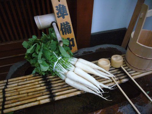 お店の入口で小振りな亀戸大根が迎えてくれます。