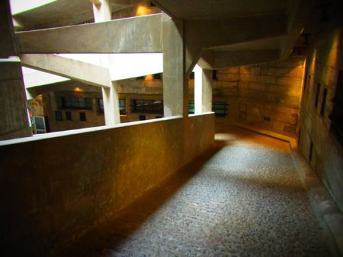 Cattle Path（牛道）、牛の歩く道です。