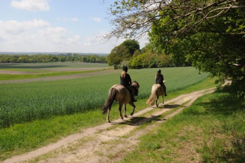 森で見かける風景。乗馬は女子の人気スポーツです。