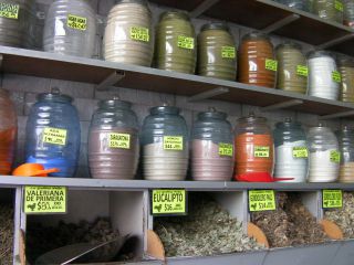 た〜〜〜くさん並んでます。