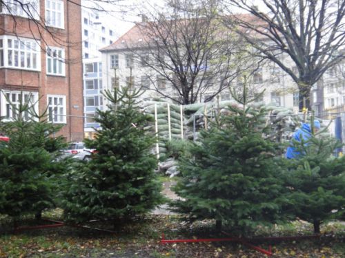 生ツリー大売出し