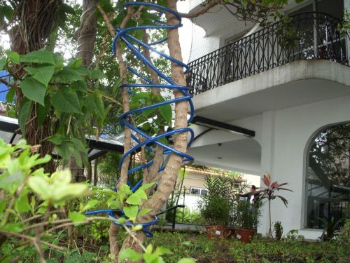 庭の木に巻きつけられた青いホース式ＬＥＤイルミネーション