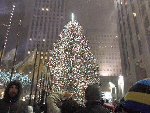 あまりの人でツリーに近づくのも至難の技